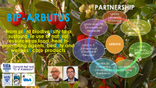 Locandina Arbutus