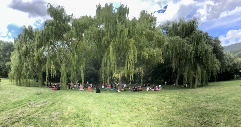 Foto alberi