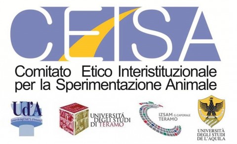 logo ceisa