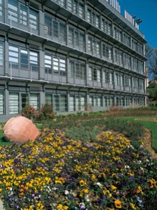 edificio cast