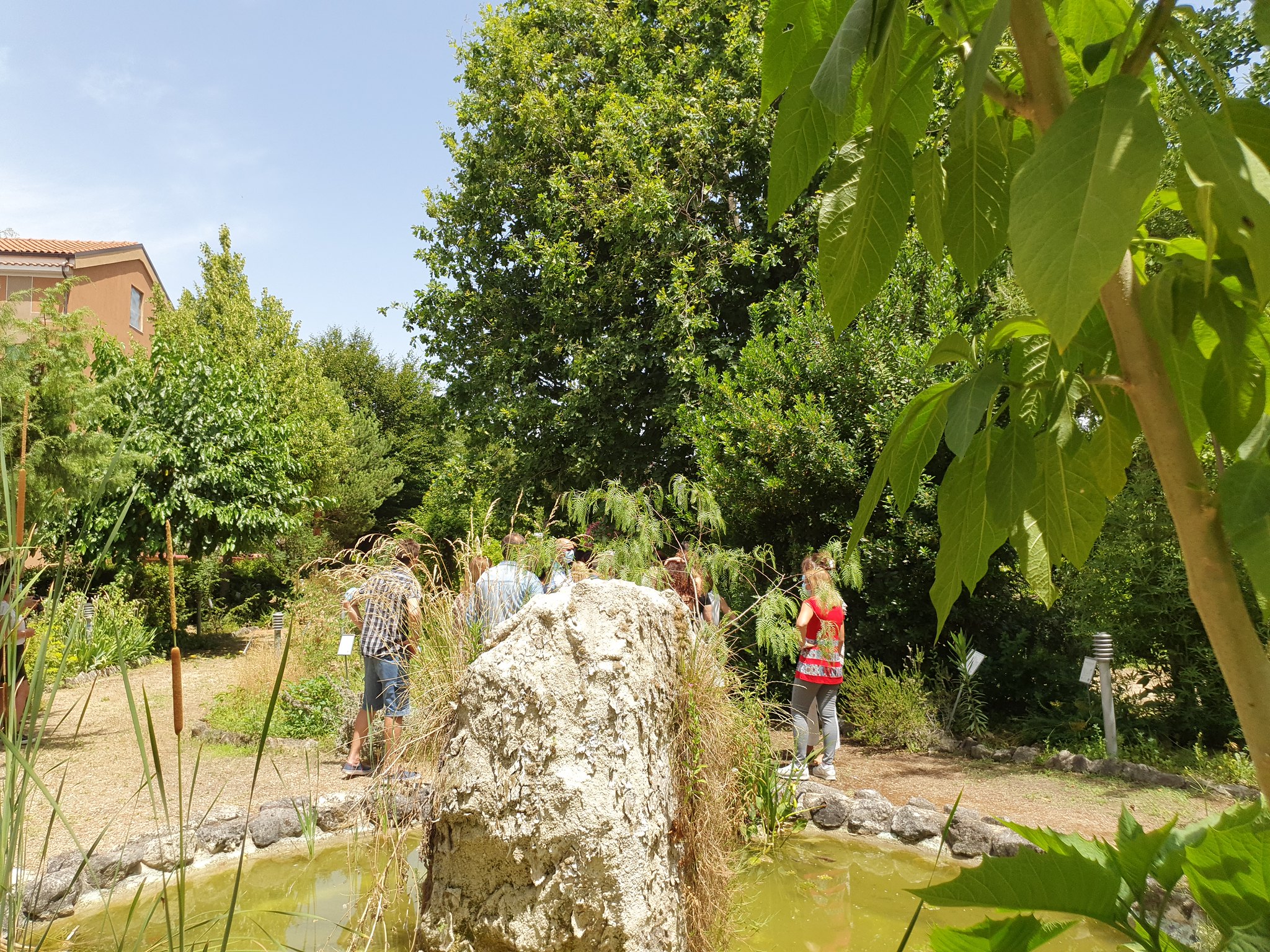 Giardino