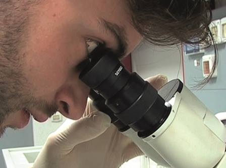 Tecnico che guarda al microscopio