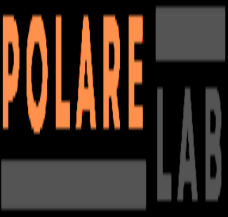 Logo Polare