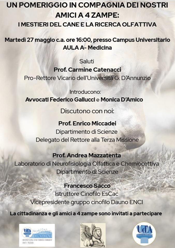 Locandina evento Un pomeriggio in compagnia dei nostri amici a 4 zampe