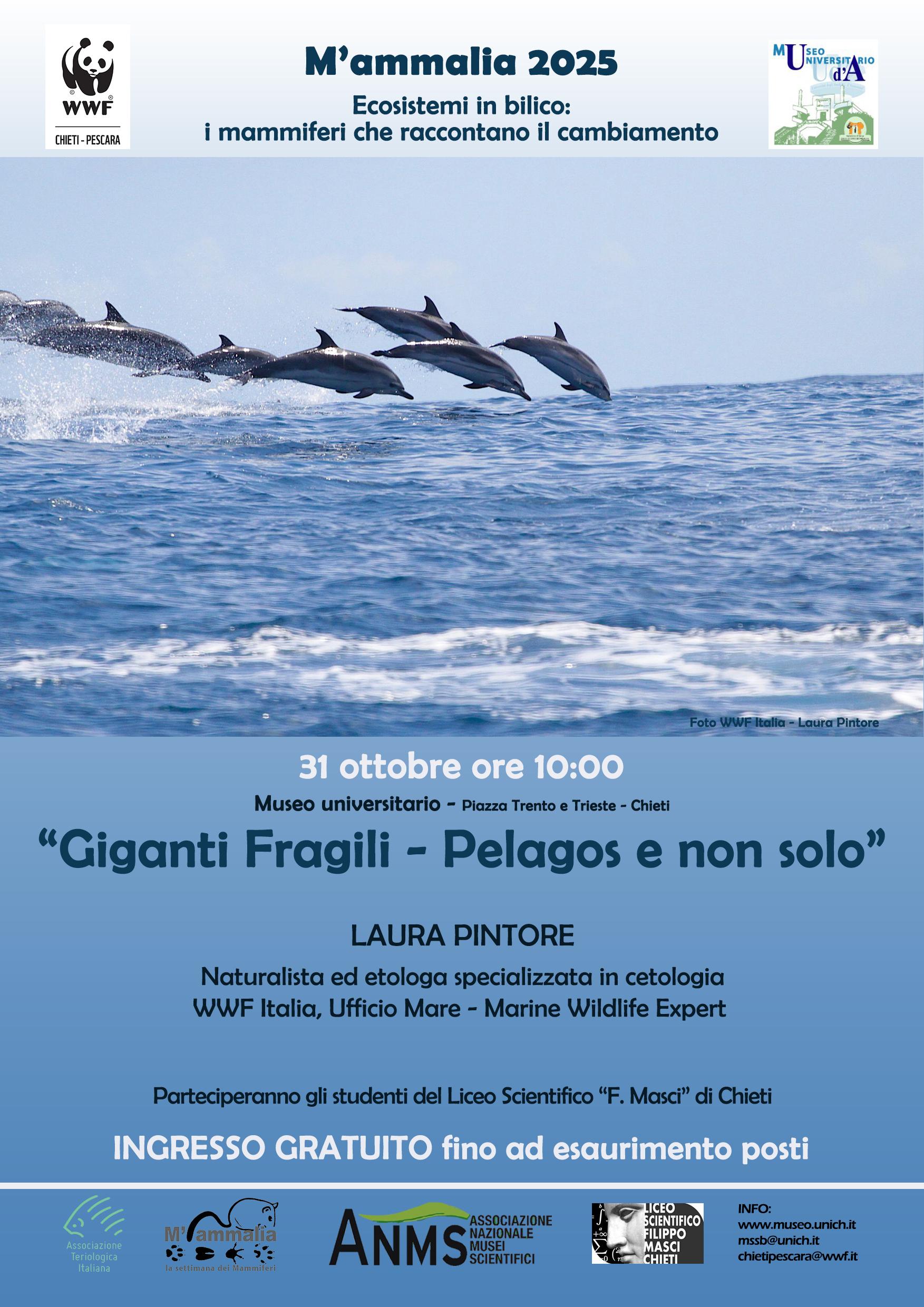 Locandina Mammalia 2025 - Museo universitario Chieti