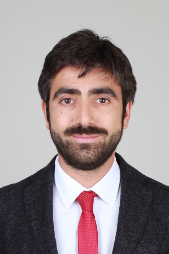 Foto  Prof.  Rodolfo Mastropasqua