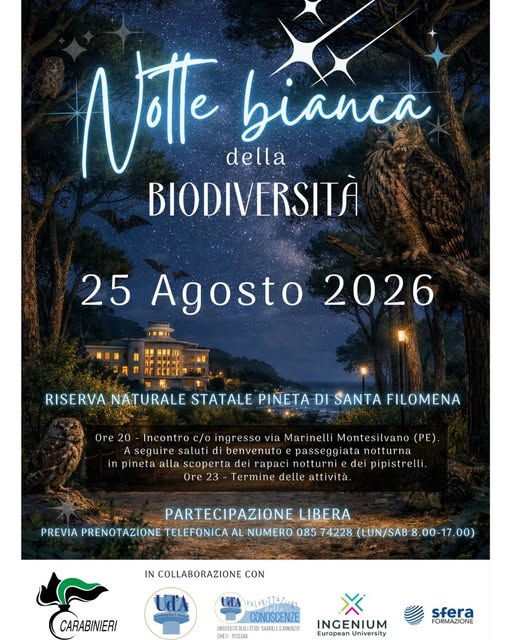 locandina