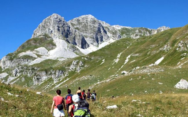 Paesaggio montagna