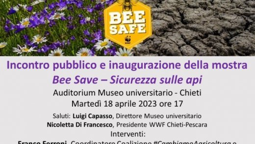 Un convegno e una mostra per favorire una agricoltura rispettosa dell'ambiente "Bee or not To Bee?