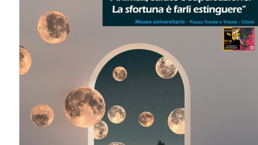Locandina notte europea dei musei 2024