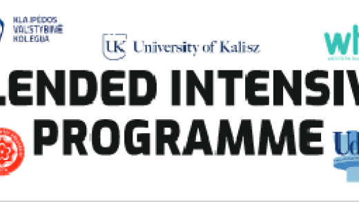  Flyer blended intensive programme