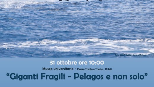 Locandina Mammalia 2025 - Museo universitario Chieti