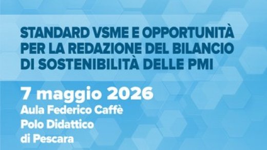 Locandina convegno Standard VSME 