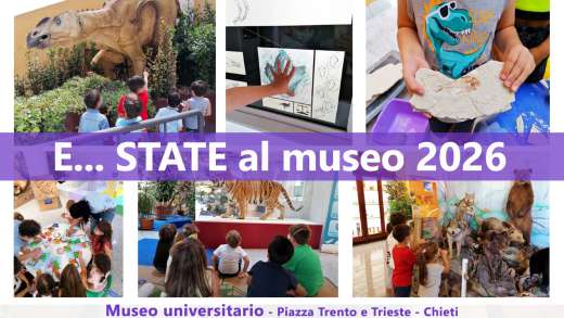 Museo