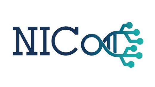 logo nico