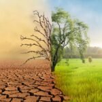 Immagine Cambiamento climatico