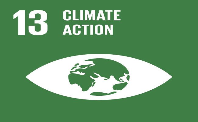 13 lotta contro il cambiamento climatico