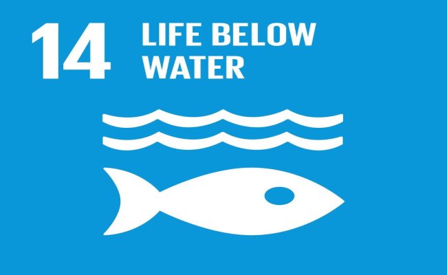 14 vita sott'acqua