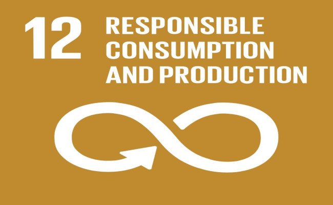 12 consumo e produzioni responsabili