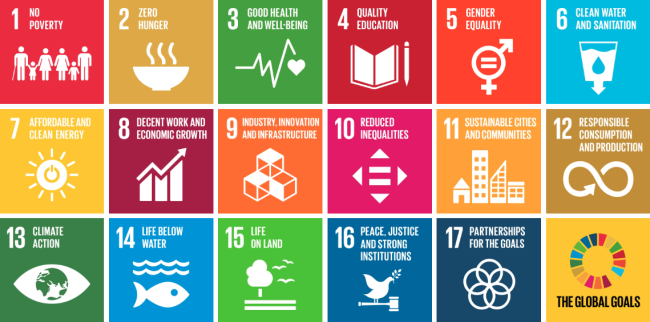 goals rus 2030