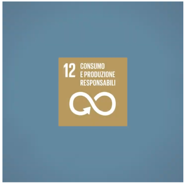 12 consumo e produzioni responsabili