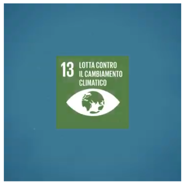 13 lotta contro il cambiamento climatico