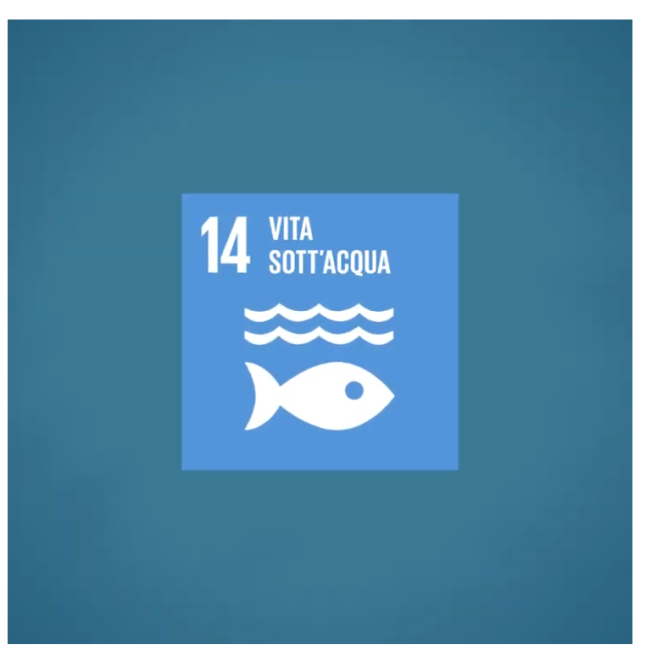 14 vita sott'acqua
