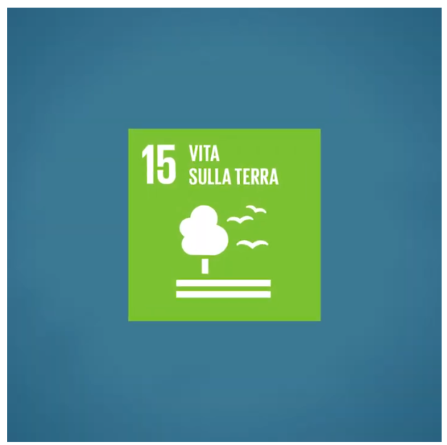 15 vita sulla terra
