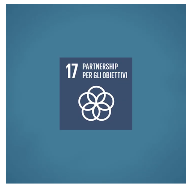17 partnership per gli obiettivi
