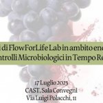 I servizi di Flow For Life Lab in ambito enologico