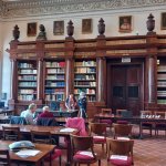 Parlamento 5