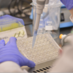 Immagine di laboratorio