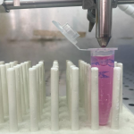 Immagine di laboratorio