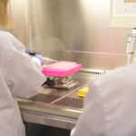 Immagine di laboratorio