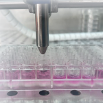 Immagine di laboratorio