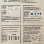 Poster n. 12