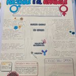 Poster n. 15