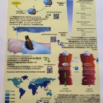 Poster n. 17
