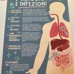 Poster n. 19