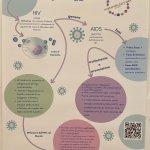 Poster n. 28