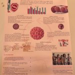 Poster n. 3