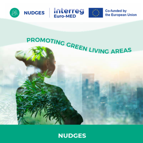 Nudges